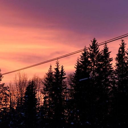 Koselig Hytte I Hemsedal Esterno foto