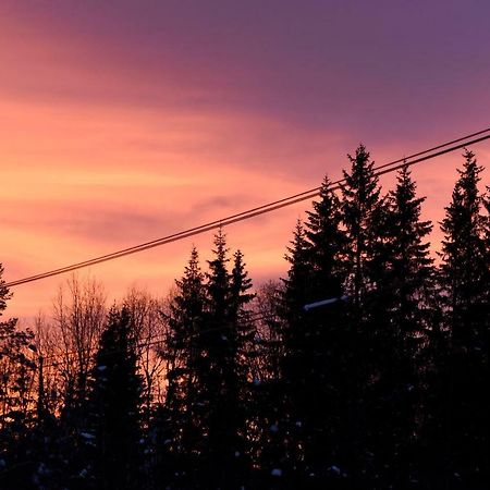 Koselig Hytte I Hemsedal Villa Esterno foto