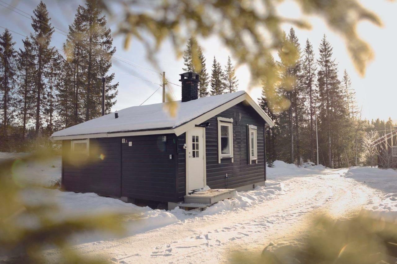 Koselig Hytte I Hemsedal Esterno foto