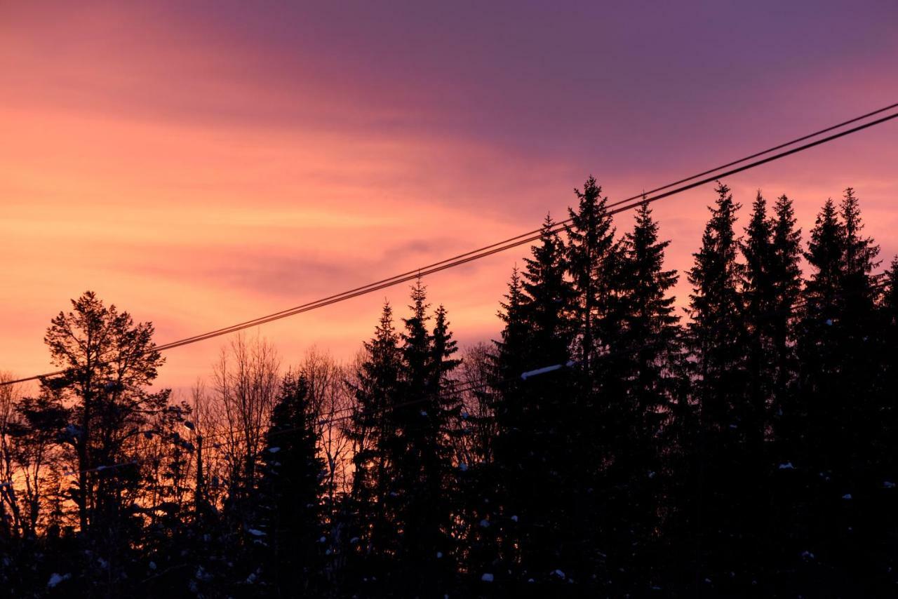 Koselig Hytte I Hemsedal Villa Esterno foto