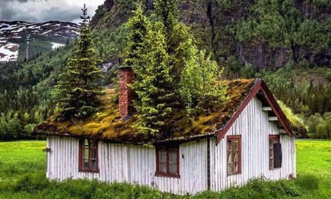 Koselig Hytte I Hemsedal Esterno foto