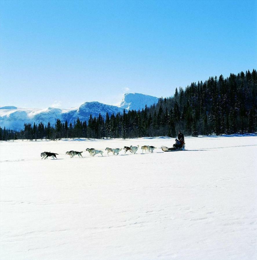 Koselig Hytte I Hemsedal Villa Esterno foto