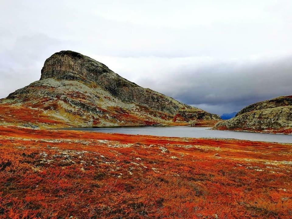 Koselig Hytte I Hemsedal Esterno foto