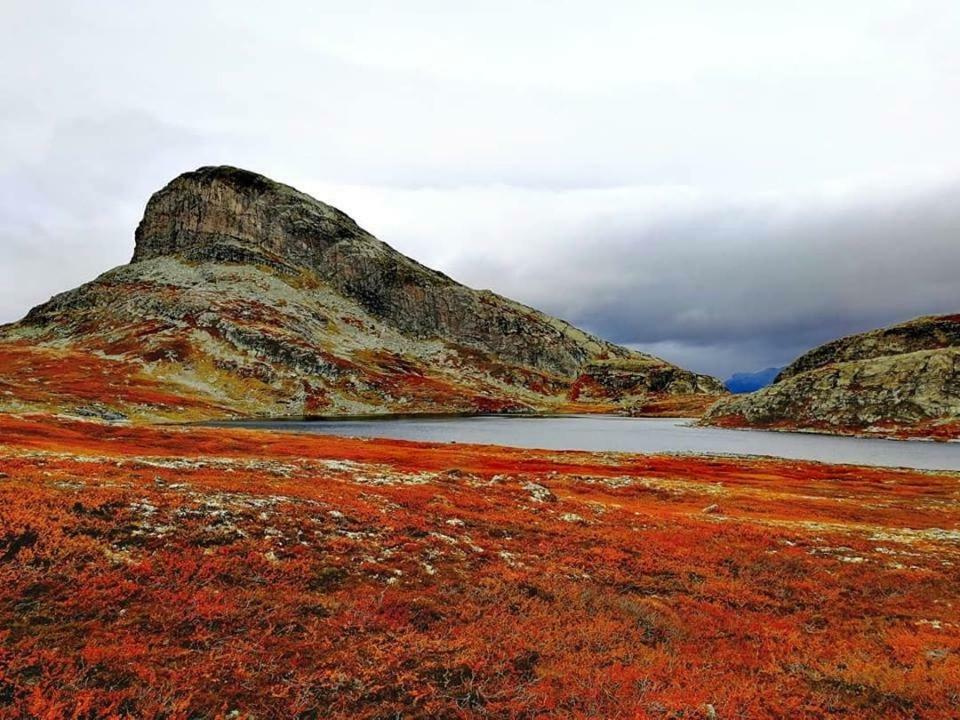 Koselig Hytte I Hemsedal Villa Esterno foto