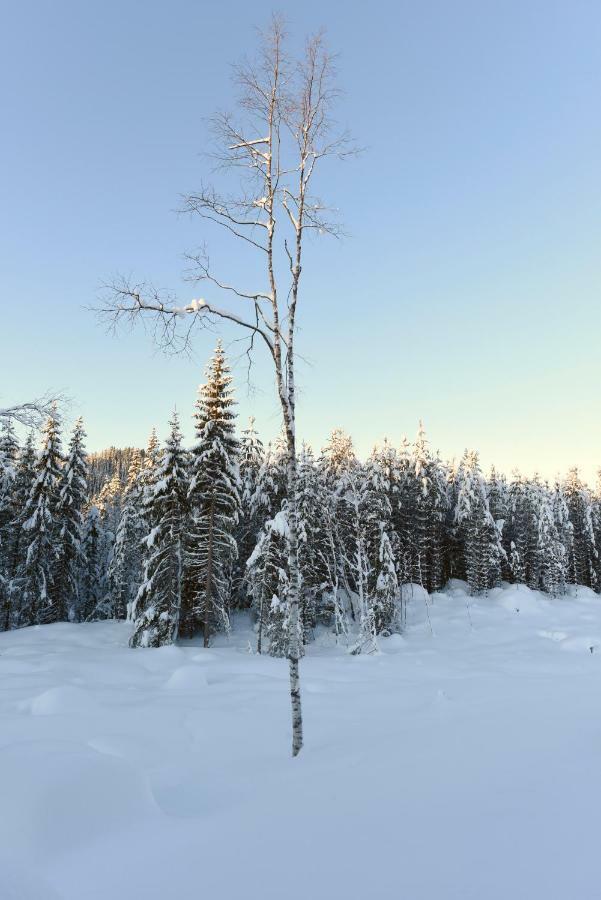Koselig Hytte I Hemsedal Esterno foto